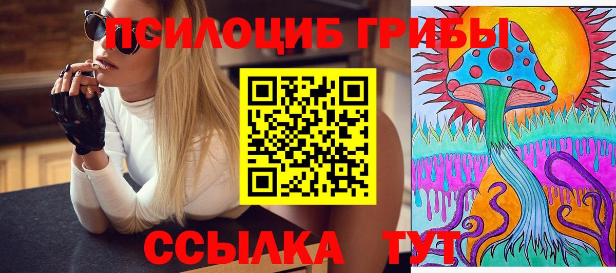 Северобайкальск  Псилоцибиновые грибы GOLDEN TEACHER  Вход с VPN 