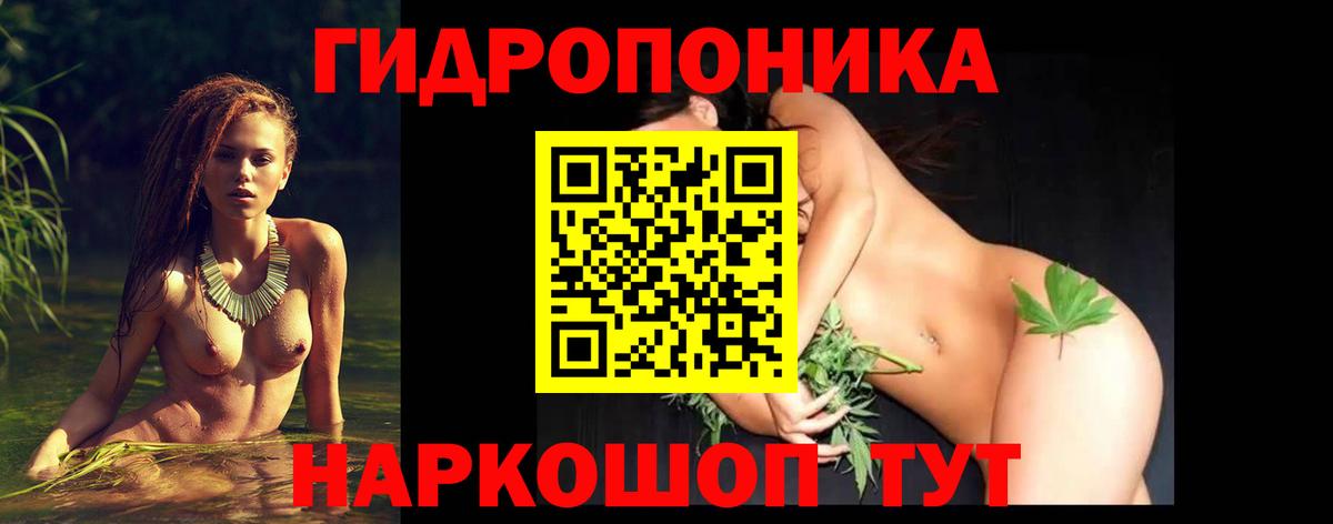 МАРИХУАНА конопля Северобайкальск